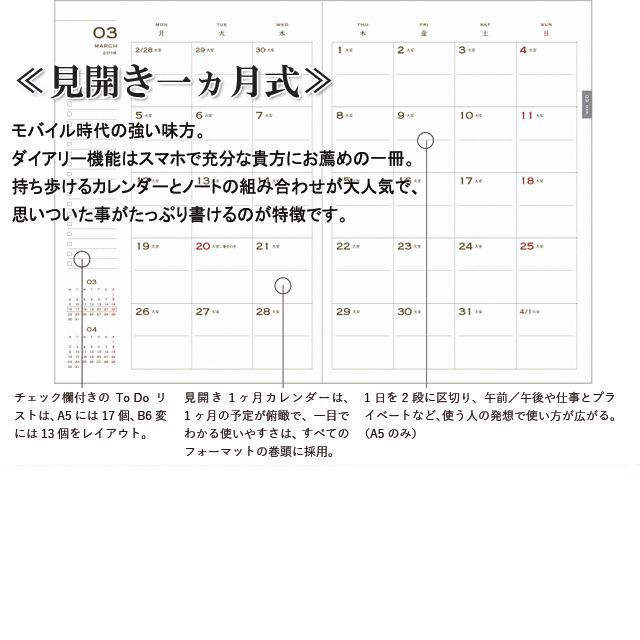 エイステーショナリー B6変型サイズ ダイアリー Esダイアリー 2020年版